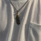 Predator Cosmic Solsta Pendant